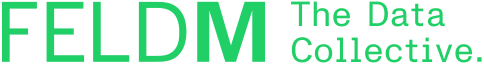 FELDM-Logo